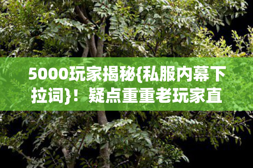 5000玩家揭秘{私服内幕下拉词}！疑点重重老玩家直呼受不了