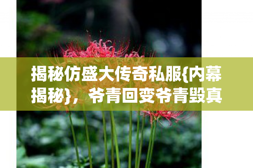 揭秘仿盛大传奇私服{内幕揭秘}，爷青回变爷青毁真相