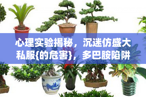 心理实验揭秘,沉迷仿盛大私服{的危害},多巴胺陷阱细思极恐 心理实验揭秘,沉迷仿盛大私服{的危害},多巴胺陷阱细思极恐
