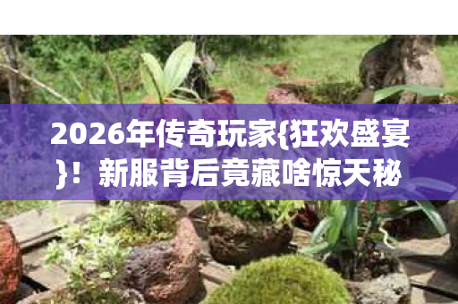 2026年传奇玩家{狂欢盛宴}!新服背后竟藏啥惊天秘密? 2026年传奇玩家{狂欢盛宴}!新服背后竟藏啥惊天秘密?