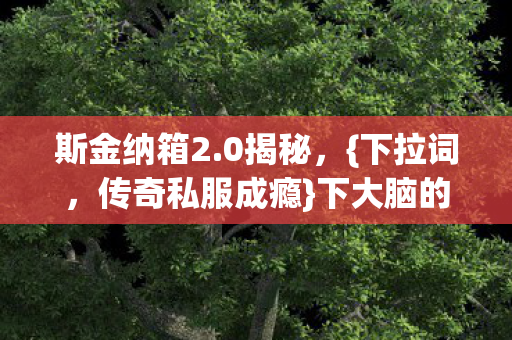 传奇私服成瘾图片