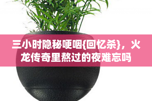火龙传奇里熬过的夜难忘吗图片