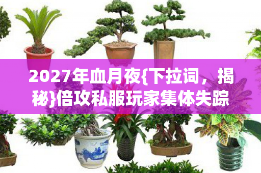 倍攻私服玩家集体失踪案图片