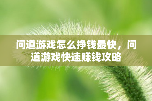 问道游戏怎么挣钱最快,问道游戏快速赚钱攻略 问道游戏怎么挣钱最快,问道游戏快速赚钱攻略
