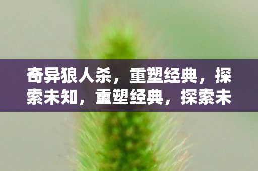 奇异狼人杀，重塑经典，探索未知，重塑经典，探索未知，奇异狼人杀来袭