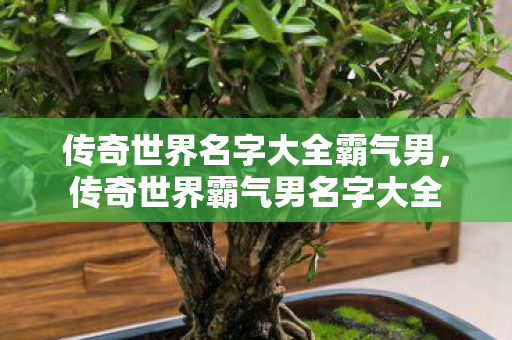 传奇世界名字大全霸气男,传奇世界霸气男名字大全 传奇世界名字大全霸气男,传奇世界霸气男名字大全