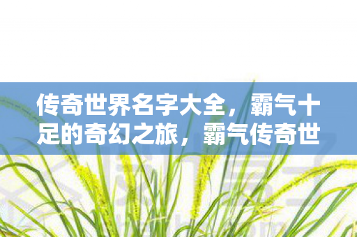 传奇世界名字大全,霸气十足的奇幻之旅,霸气传奇世界名字,开启奇幻之旅 传奇世界名字大全,霸气十足的奇幻之旅,霸气传奇世界名字,开启奇幻之旅