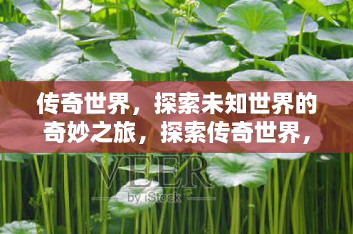 探索未知世界的奇妙之旅图片