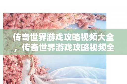 传奇世界游戏攻略视频全解析图片