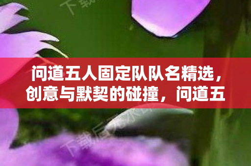 问道五人固定队队名精选,创意与默契的碰撞,问道五人行,创意与默契的固定队名精选 问道五人固定队队名精选,创意与默契的碰撞,问道五人行,创意与默契的固定队名精选