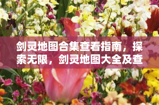 剑灵地图合集查看指南,探索无限,剑灵地图大全及查看指南 剑灵地图合集查看指南,探索无限,剑灵地图大全及查看指南