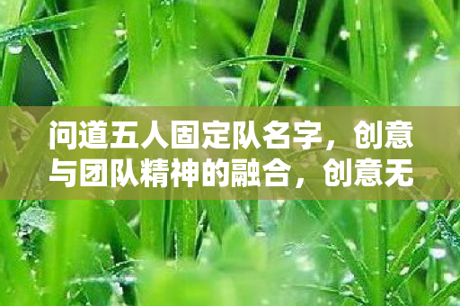 问道五人固定队名字,创意与团队精神的融合,创意无限,团队一心,打造五人固定队名字 问道五人固定队名字,创意与团队精神的融合,创意无限,团队一心,打造五人固定队名字