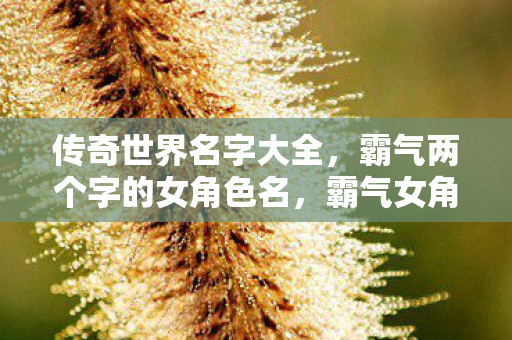 传奇世界名字大全，霸气两个字的女角色名，霸气女角色名，传奇世界名字大全