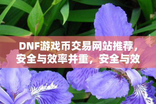 DNF游戏币交易网站推荐,安全与效率并重,安全与效率并重的DNF游戏币交易网站推荐 DNF游戏币交易网站推荐,安全与效率并重,安全与效率并重的DNF游戏币交易网站推荐