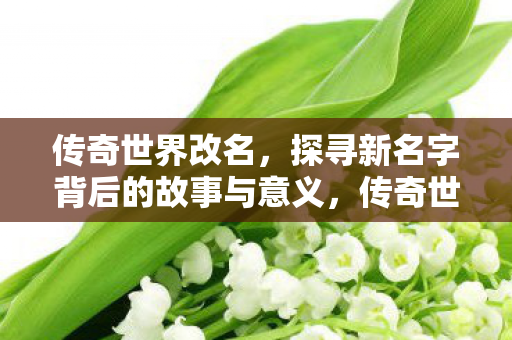 传奇世界改名，探寻新名字背后的故事与意义，传奇世界改名背后的故事与意义