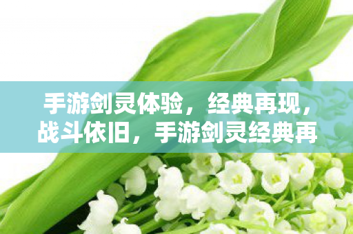 手游剑灵体验,经典再现,战斗依旧,手游剑灵经典再现,战斗依旧火热上线 手游剑灵体验,经典再现,战斗依旧,手游剑灵经典再现,战斗依旧火热上线