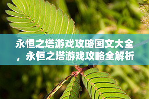 永恒之塔游戏攻略图文大全,永恒之塔游戏攻略全解析 永恒之塔游戏攻略图文大全,永恒之塔游戏攻略全解析