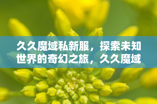 探索未知世界的奇幻之旅图片