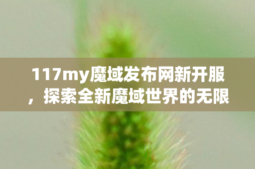 117my魔域发布网新开服图片