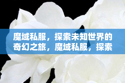 魔域私服,探索未知世界的奇幻之旅,魔域私服,探索未知世界的奇幻之旅 魔域私服,探索未知世界的奇幻之旅,魔域私服,探索未知世界的奇幻之旅