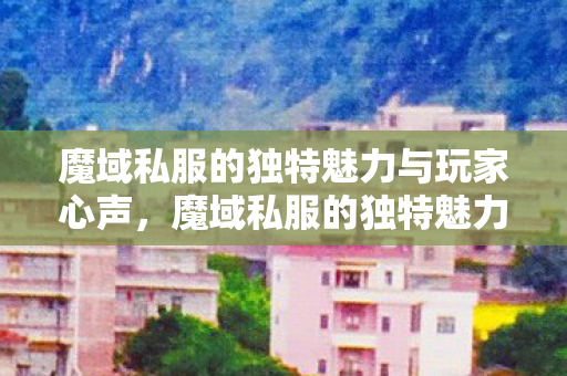 魔域私服的独特魅力与玩家心声图片