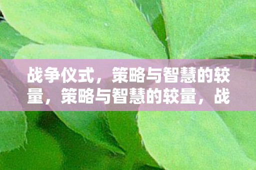 战争仪式,策略与智慧的较量,策略与智慧的较量,战争仪式 战争仪式,策略与智慧的较量,策略与智慧的较量,战争仪式