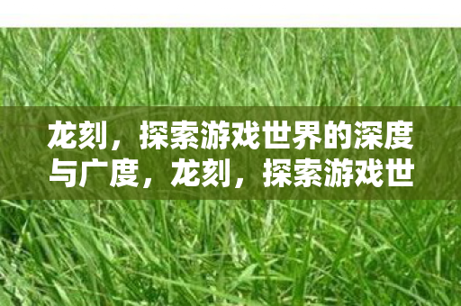 龙刻,探索游戏世界的深度与广度,龙刻,探索游戏世界的深度与广度 龙刻,探索游戏世界的深度与广度,龙刻,探索游戏世界的深度与广度