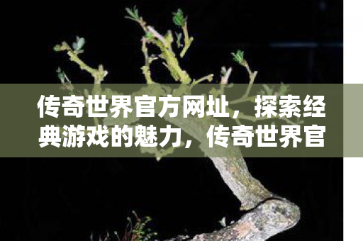 传奇世界官方网址,探索经典游戏的魅力,传奇世界官方网址,探索经典游戏的魅力 传奇世界官方网址,探索经典游戏的魅力,传奇世界官方网址,探索经典游戏的魅力