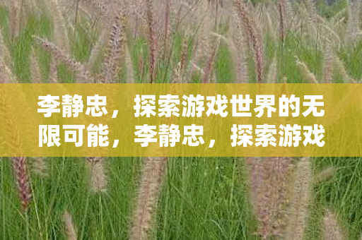李静忠，探索游戏世界的无限可能，李静忠，探索游戏世界的无限可能