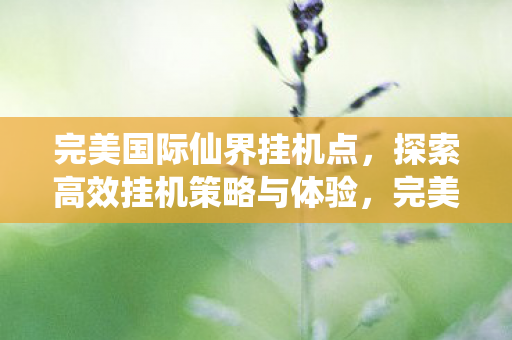 完美国际仙界挂机点,探索高效挂机策略与体验,完美国际仙界挂机点,高效挂机策略与体验探索 完美国际仙界挂机点,探索高效挂机策略与体验,完美国际仙界挂机点,高效挂机策略与体验探索