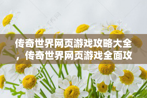 传奇世界网页游戏攻略大全图片