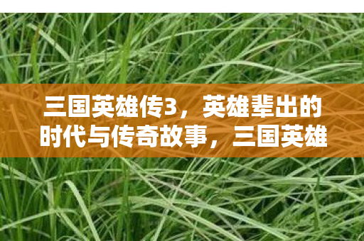 三国英雄传3,英雄辈出的时代与传奇故事,三国英雄传3,英雄辈出的传奇时代 三国英雄传3,英雄辈出的时代与传奇故事,三国英雄传3,英雄辈出的传奇时代