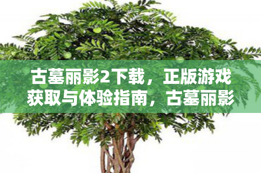 古墓丽影2下载，正版游戏获取与体验指南，古墓丽影2正版游戏下载与体验全攻略