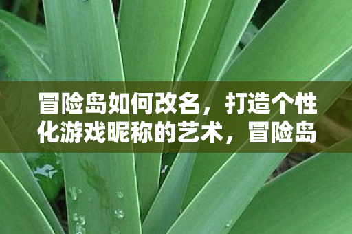 冒险岛如何改名,打造个性化游戏昵称的艺术,冒险岛改名攻略,打造个性化游戏昵称的艺术 冒险岛如何改名,打造个性化游戏昵称的艺术,冒险岛改名攻略,打造个性化游戏昵称的艺术
