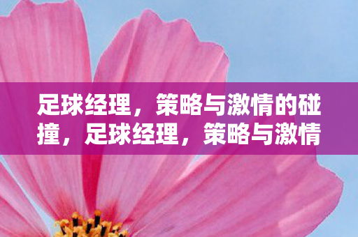 足球经理,策略与激情的碰撞,足球经理,策略与激情的碰撞 足球经理,策略与激情的碰撞,足球经理,策略与激情的碰撞