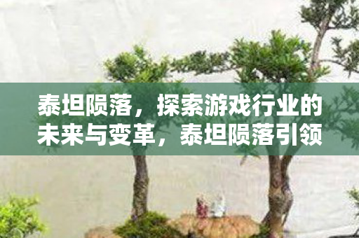 泰坦陨落，探索游戏行业的未来与变革，泰坦陨落引领游戏行业变革的未来之路