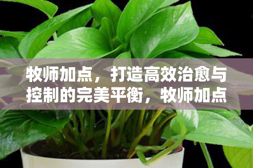牧师加点,打造高效治愈与控制的完美平衡,牧师加点,打造高效治愈与控制的完美平衡 牧师加点,打造高效治愈与控制的完美平衡,牧师加点,打造高效治愈与控制的完美平衡