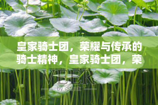 皇家骑士团，荣耀与传承的骑士精神，皇家骑士团，荣耀与传承的骑士精神