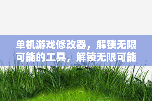 单机游戏修改器,解锁无限可能的工具,解锁无限可能,单机游戏修改器全解析 单机游戏修改器,解锁无限可能的工具,解锁无限可能,单机游戏修改器全解析