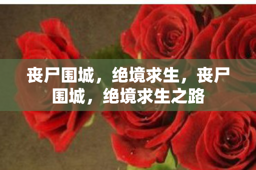 丧尸围城,绝境求生,丧尸围城,绝境求生之路 丧尸围城,绝境求生,丧尸围城,绝境求生之路