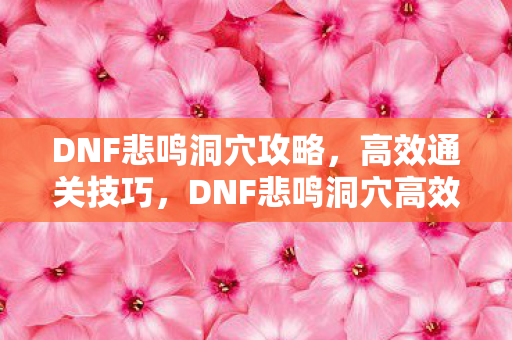 DNF悲鸣洞穴攻略,高效通关技巧,DNF悲鸣洞穴高效通关攻略,掌握这些技巧轻松通关! DNF悲鸣洞穴攻略,高效通关技巧,DNF悲鸣洞穴高效通关攻略,掌握这些技巧轻松通关!