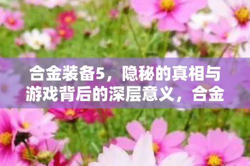 合金装备5,隐秘的真相与游戏背后的深层意义,合金装备5,隐秘真相与深层意义解析 合金装备5,隐秘的真相与游戏背后的深层意义,合金装备5,隐秘真相与深层意义解析