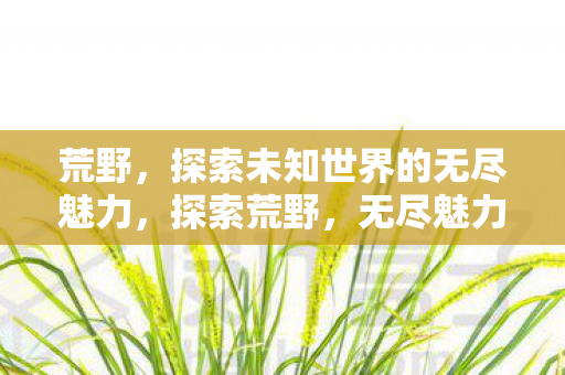 荒野,探索未知世界的无尽魅力,探索荒野,无尽魅力的未知世界 荒野,探索未知世界的无尽魅力,探索荒野,无尽魅力的未知世界