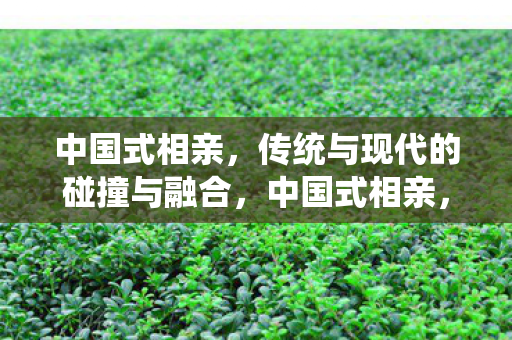 中国式相亲,传统与现代的碰撞与融合,中国式相亲,传统与现代的碰撞与融合 中国式相亲,传统与现代的碰撞与融合,中国式相亲,传统与现代的碰撞与融合