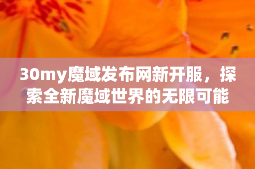 探索全新魔域世界的无限可能图片