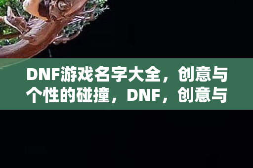 DNF游戏名字大全,创意与个性的碰撞,DNF,创意与个性碰撞的游戏名字大全 DNF游戏名字大全,创意与个性的碰撞,DNF,创意与个性碰撞的游戏名字大全