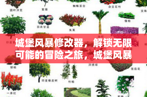 城堡风暴修改器，解锁无限可能的冒险之旅，城堡风暴修改器，解锁无限可能的冒险之旅