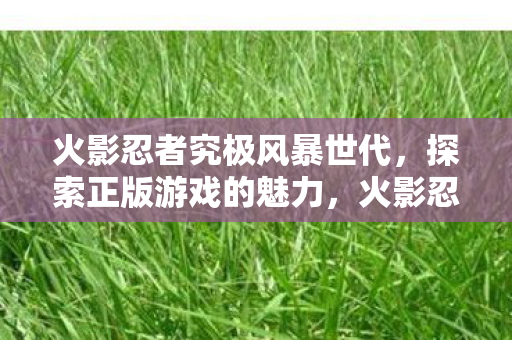 火影忍者究极风暴世代，探索正版游戏的魅力，火影忍者，究极风暴世代探索正版游戏的魅力