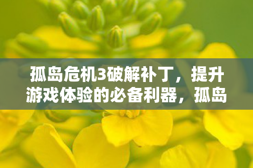 孤岛危机3破解补丁,提升游戏体验的必备利器,孤岛危机3破解补丁,提升游戏体验的必备利器 孤岛危机3破解补丁,提升游戏体验的必备利器,孤岛危机3破解补丁,提升游戏体验的必备利器