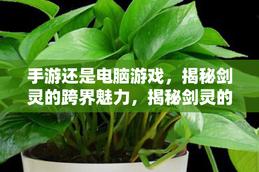 手游还是电脑游戏,揭秘剑灵的跨界魅力,揭秘剑灵的跨界魅力,手游与电脑游戏的碰撞 手游还是电脑游戏,揭秘剑灵的跨界魅力,揭秘剑灵的跨界魅力,手游与电脑游戏的碰撞